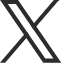 x icon